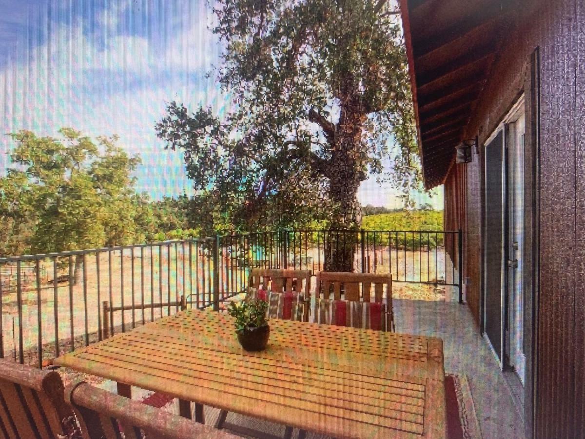 Z Ranch Vila Templeton Exterior foto